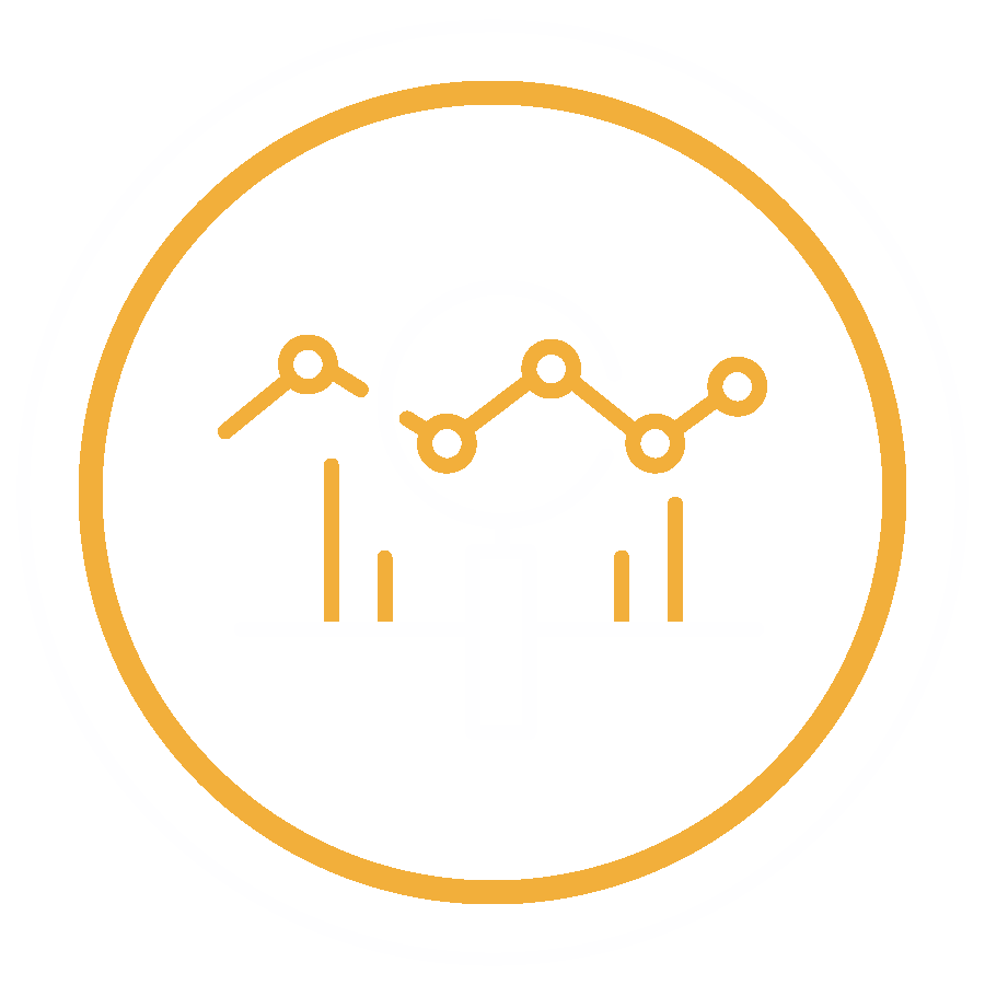 Expert Analytic Services